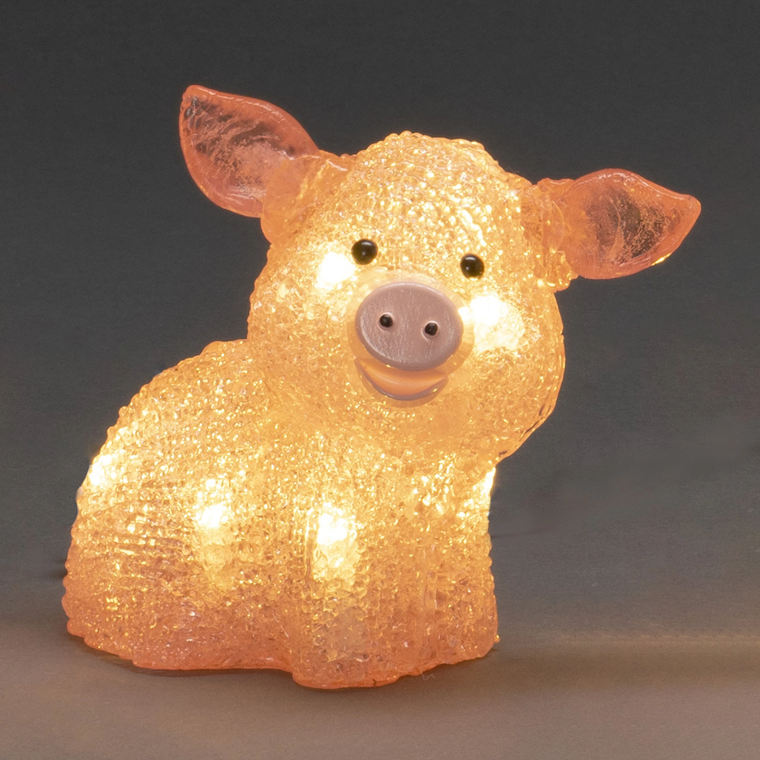 Best deal ✔️ Konstsmide Set Of 5 Acrylic Pigs Lit With 40 Warm White LEDs ???? 2 Best deal ✔️ Konstsmide Set Of 5 Acrylic Pigs Lit With 40 Warm White LEDs ???? - Image 2