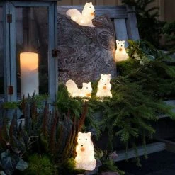 Best reviews of 👏 Konstsmide Set Of 5 Acrylic Squirrels Lit With White LEDs 😀