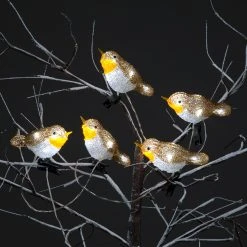 Discount 🥰 Snowtime Set Of 5 LED Lit Acrylic Robin Outdoor Display Lights ✔️