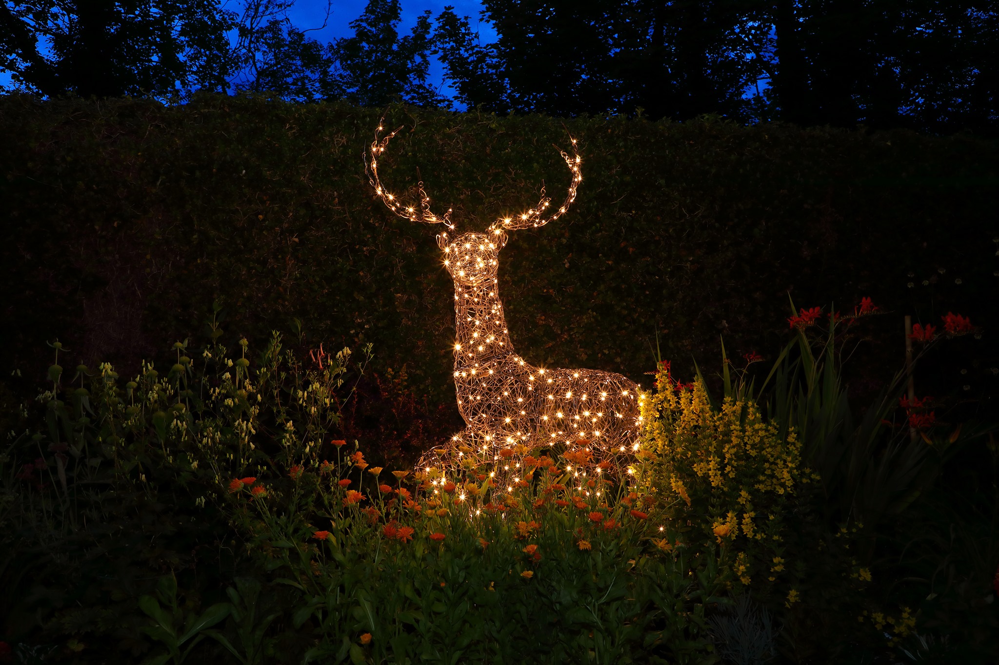 UK Christmas World Sales Store -UK Christmas World Sales Store UK Christmas World 1